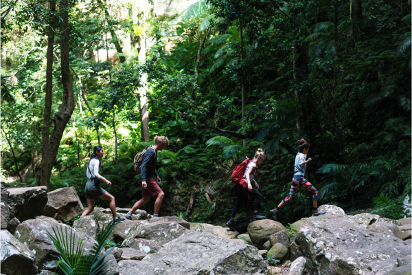 7 best walking trails in Lake Macquarie
